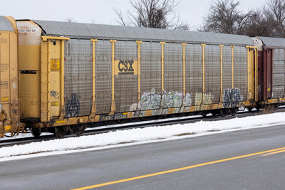 TTGX 981340