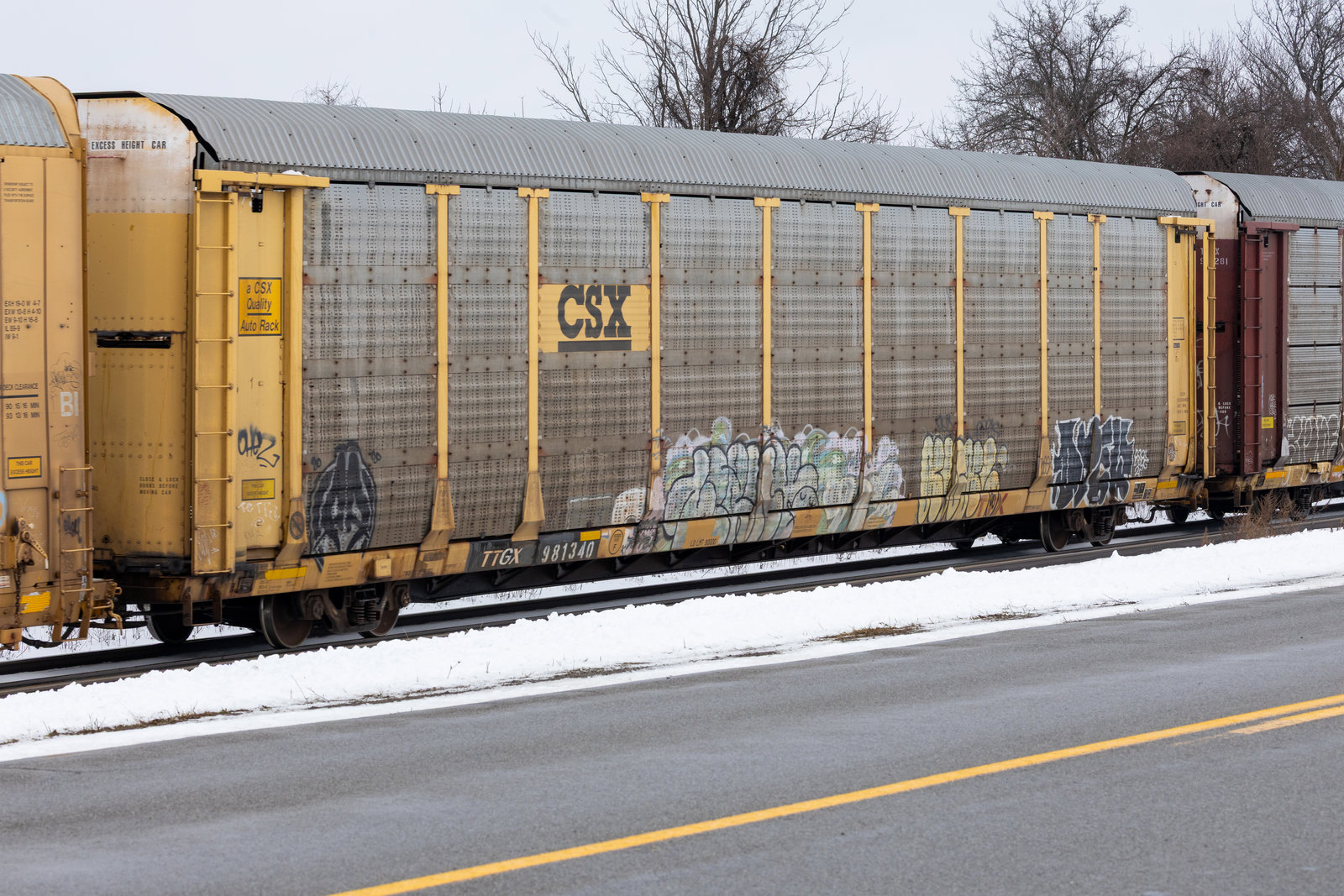 TTGX 981340
