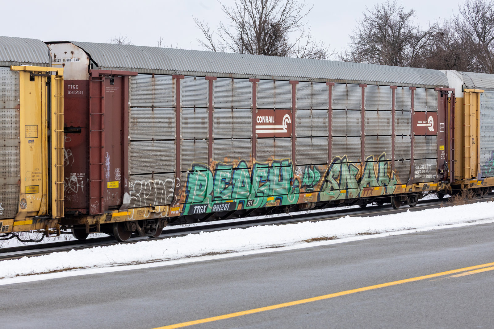 TTGX 991281