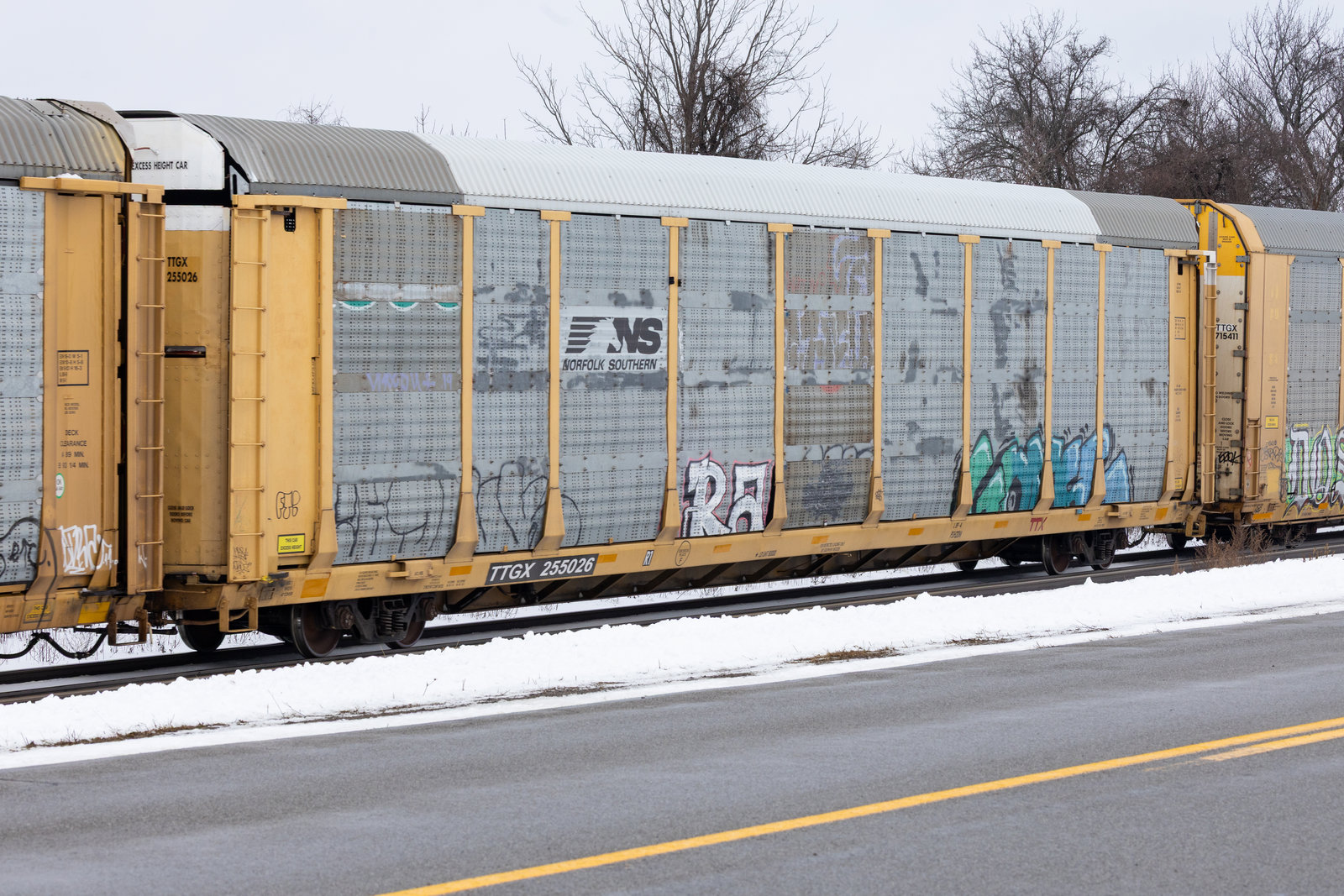 TTGX 255026