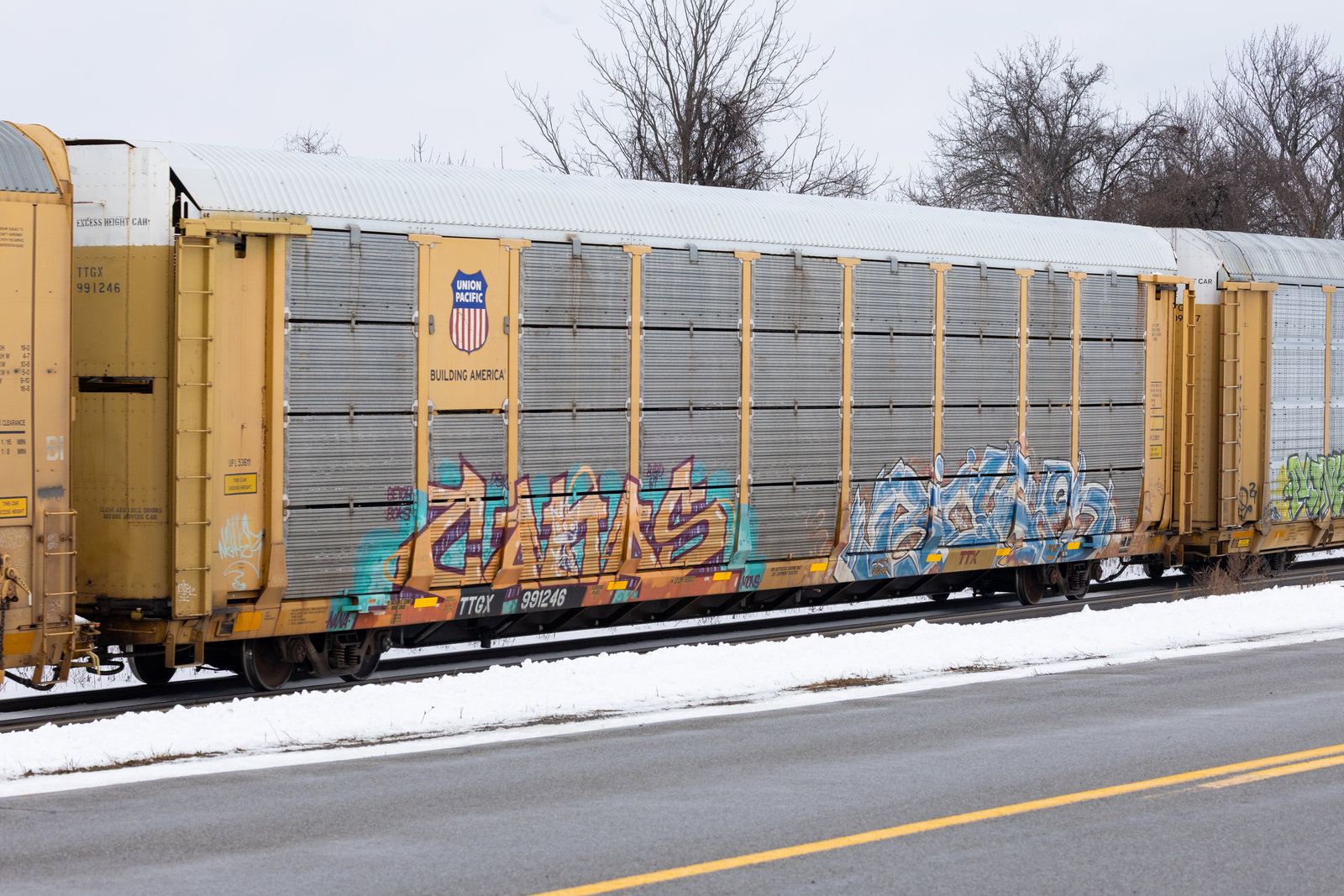 TTGX 991246