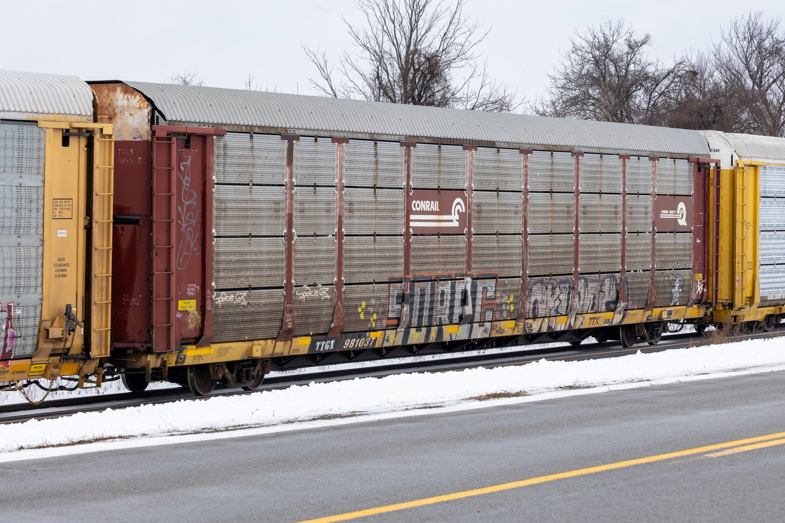 TTGX 981037