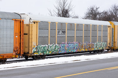 TTGX 975818