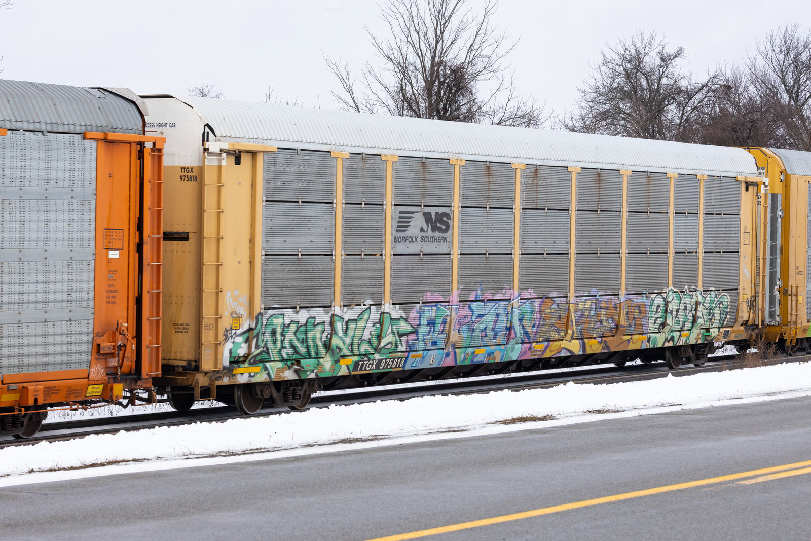 TTGX 975818