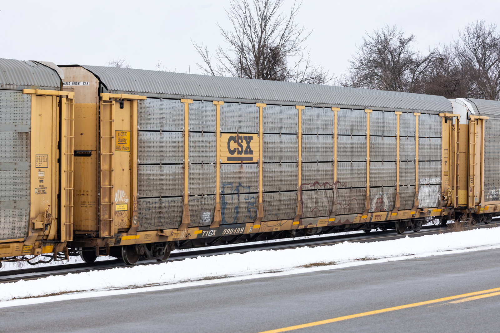 TTGX 990499