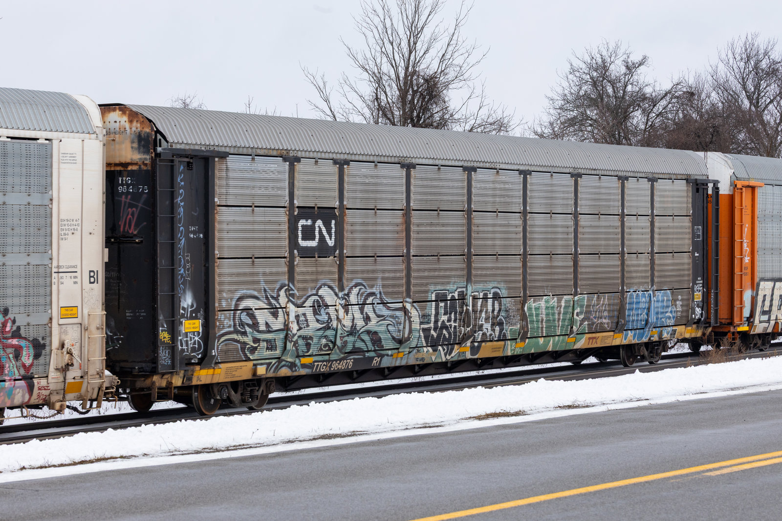 TTGX 964876