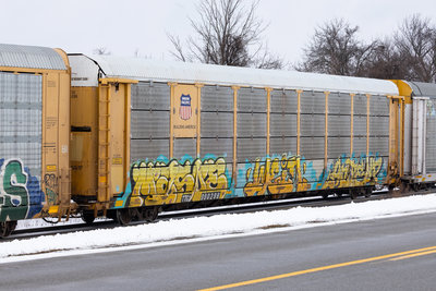 TTGX 990298