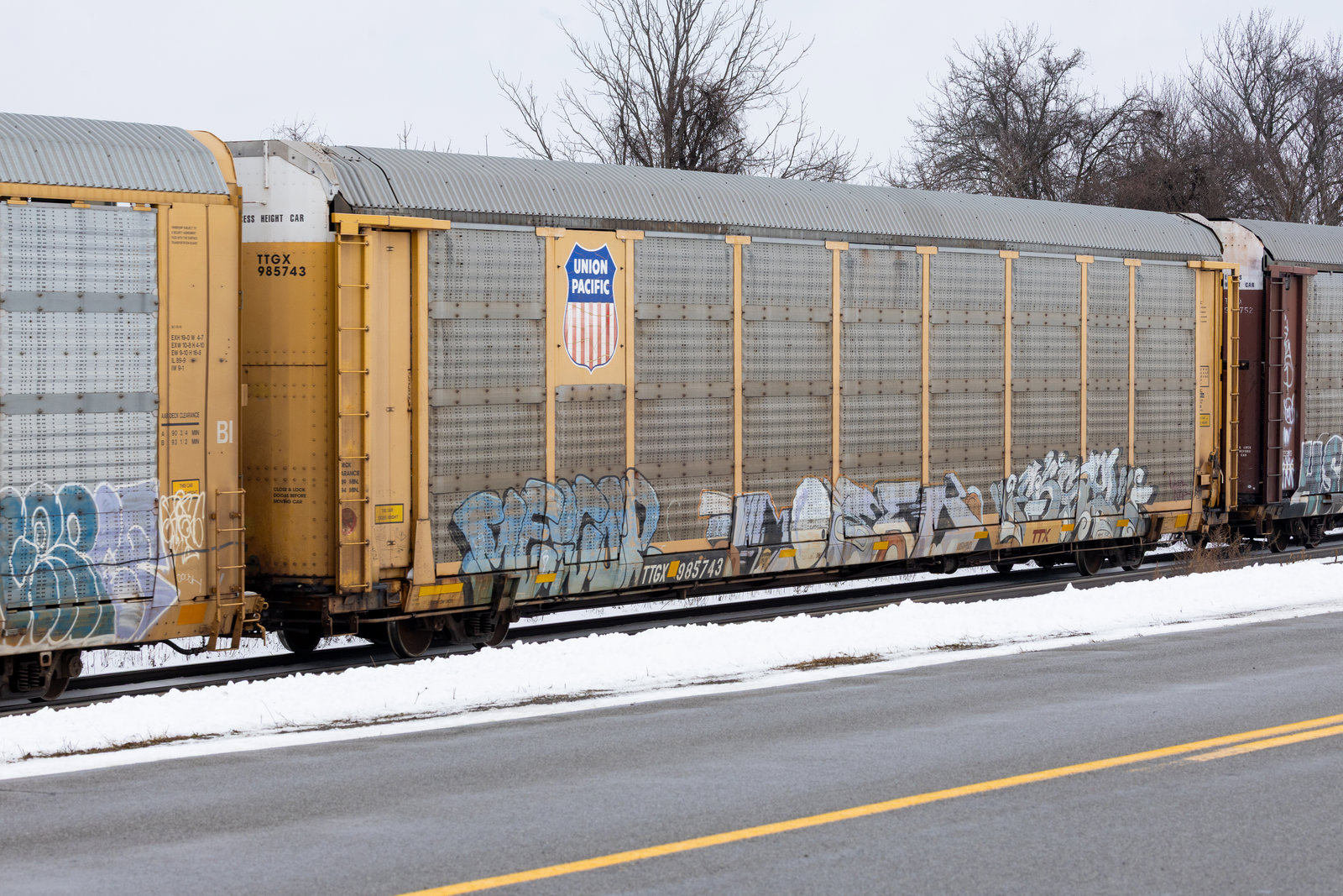 TTGX 985743