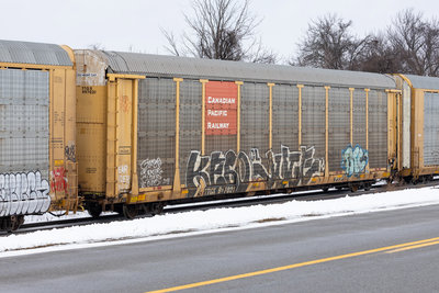 TTGX 997021