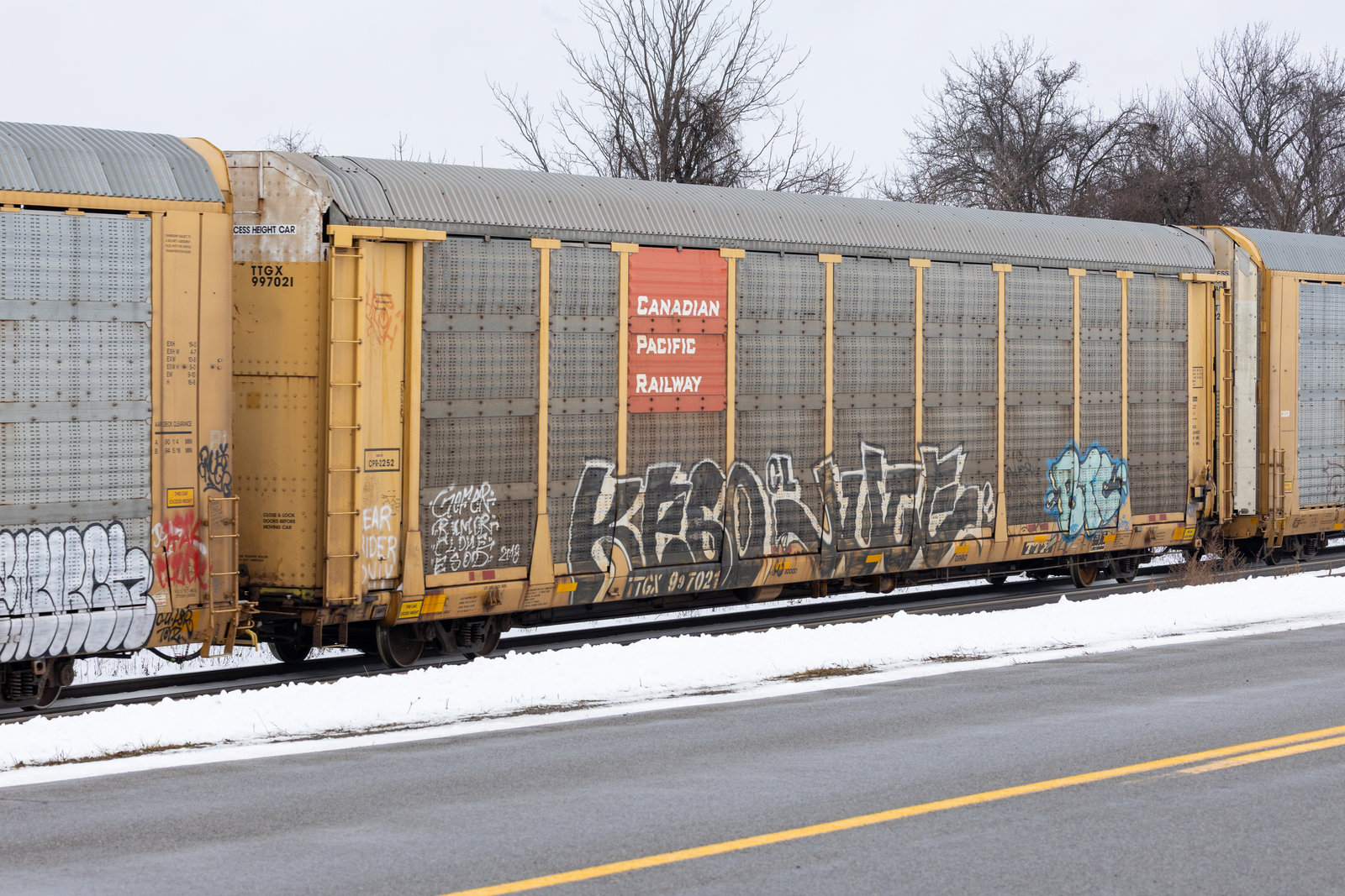 TTGX 997021