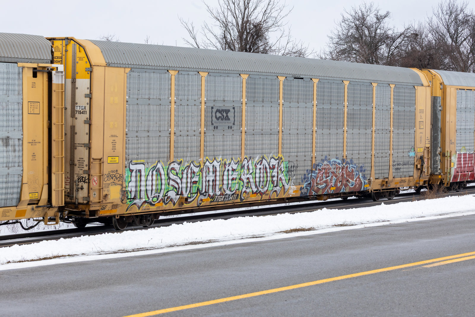 TTGX 715411