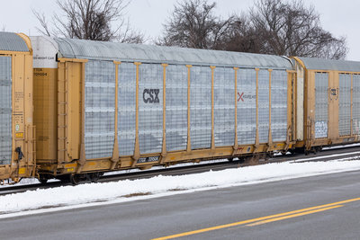 TTGX 709504