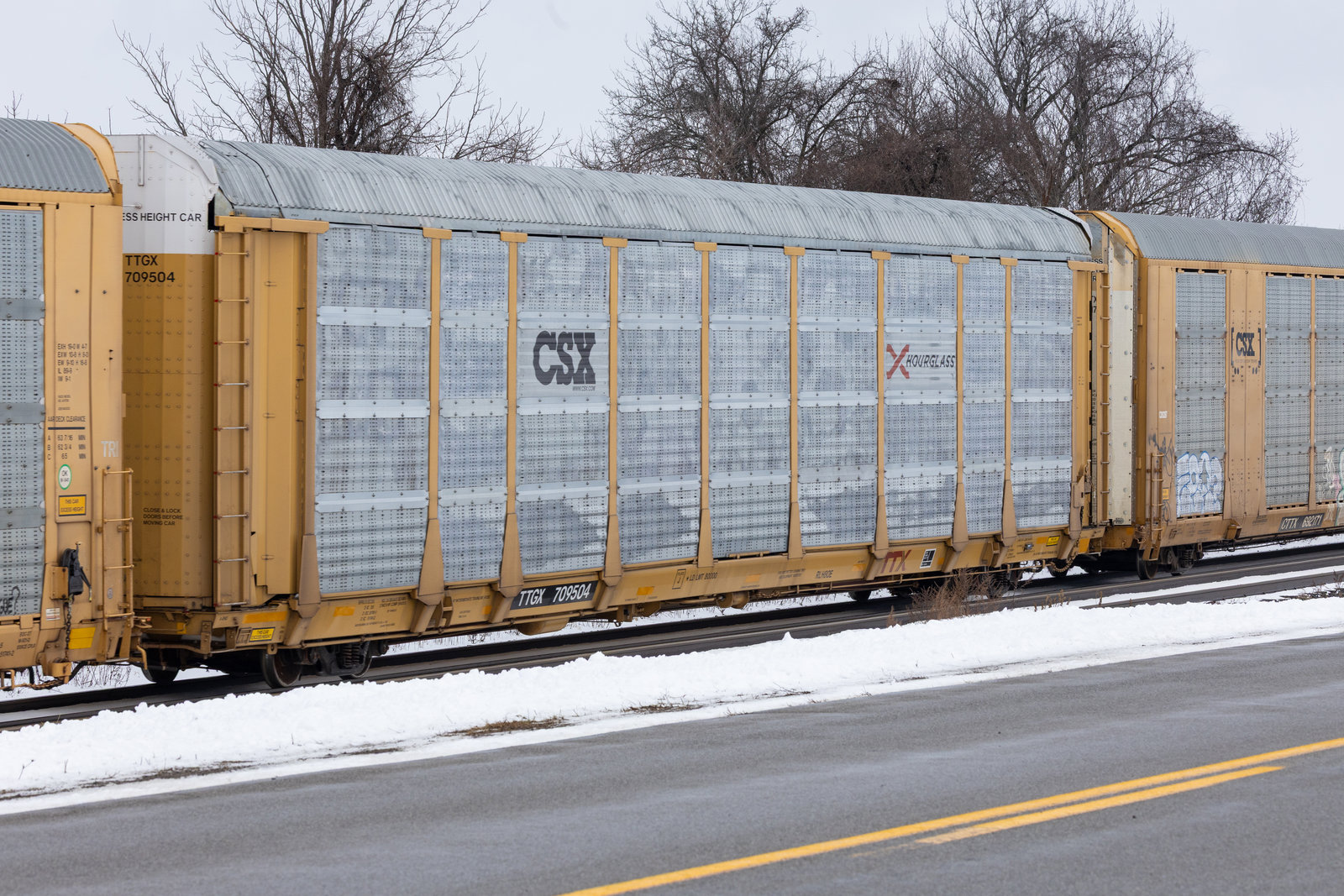 TTGX 709504
