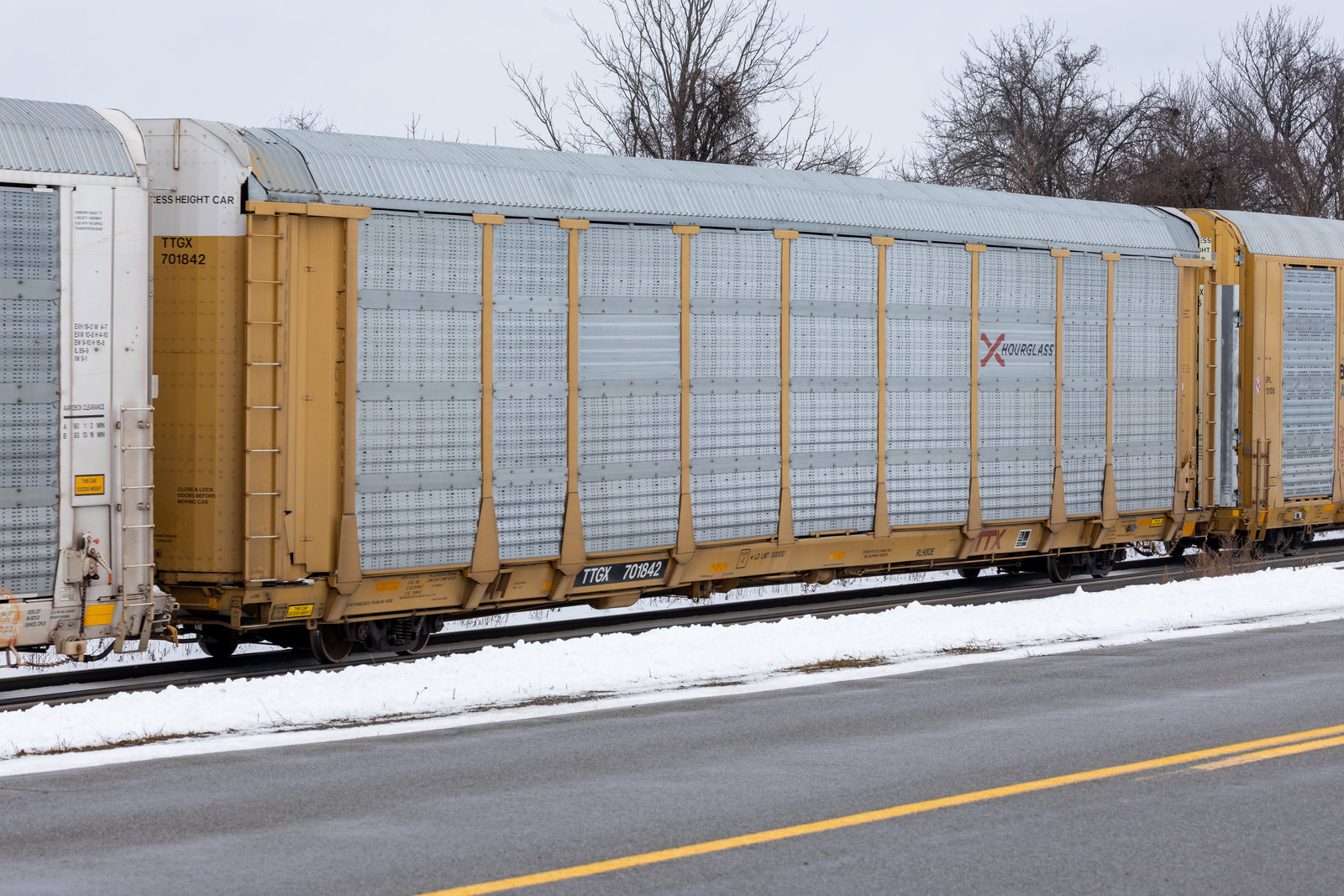TTGX 701842