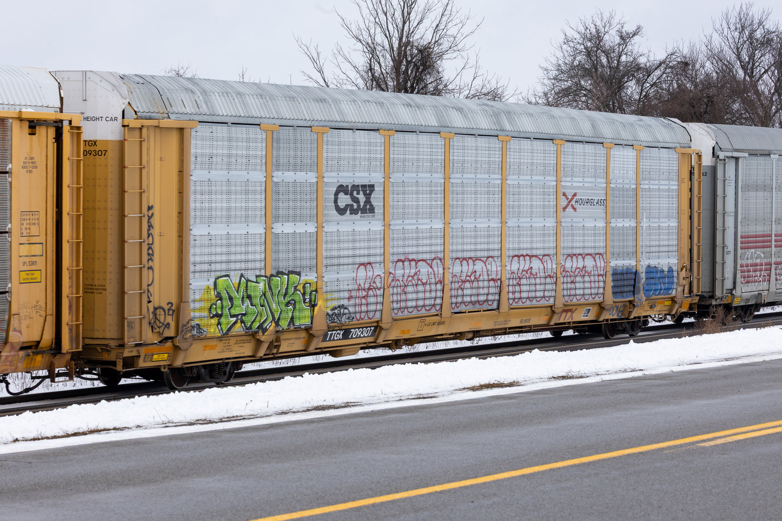 TTGX 709307