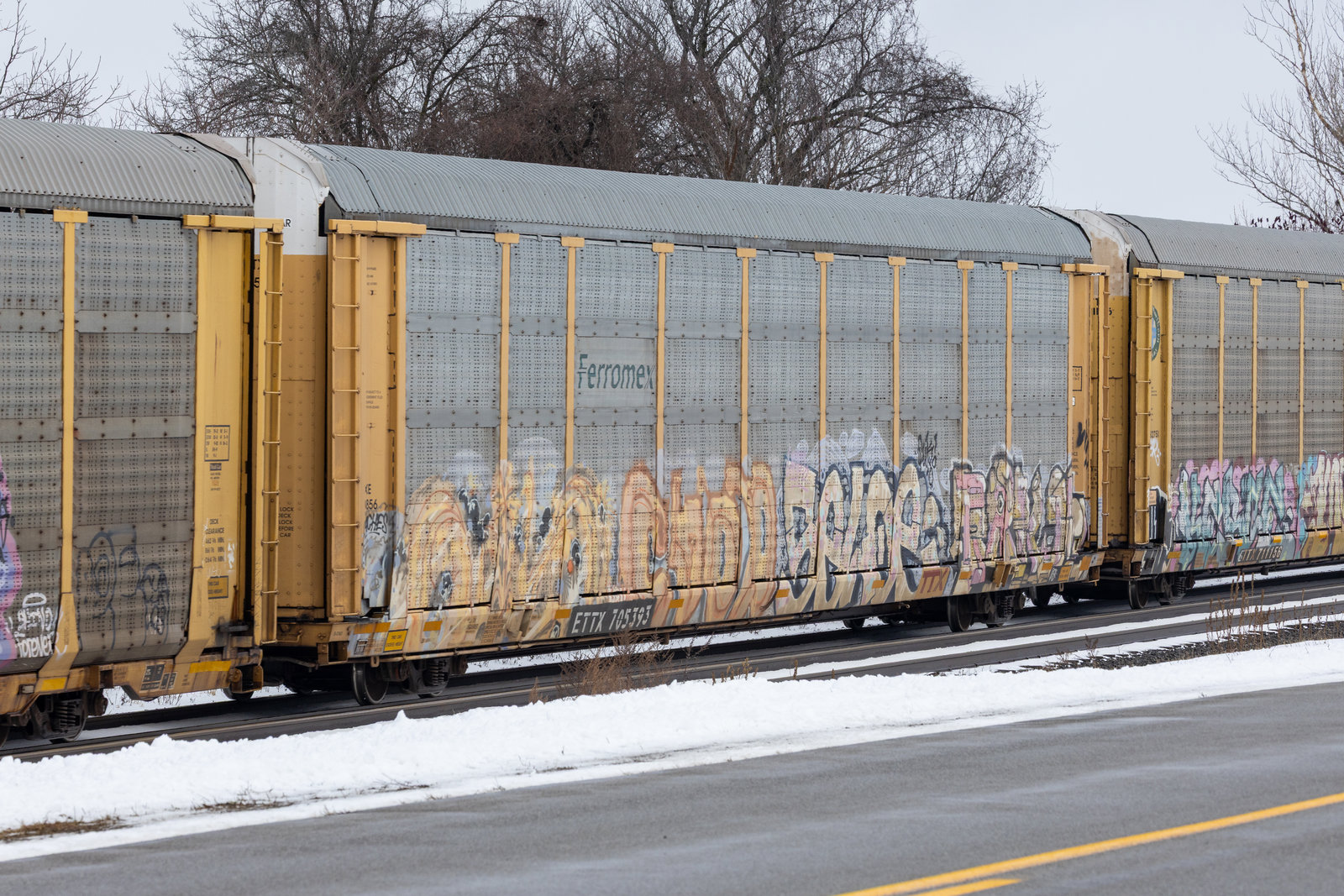 ETTX 705393