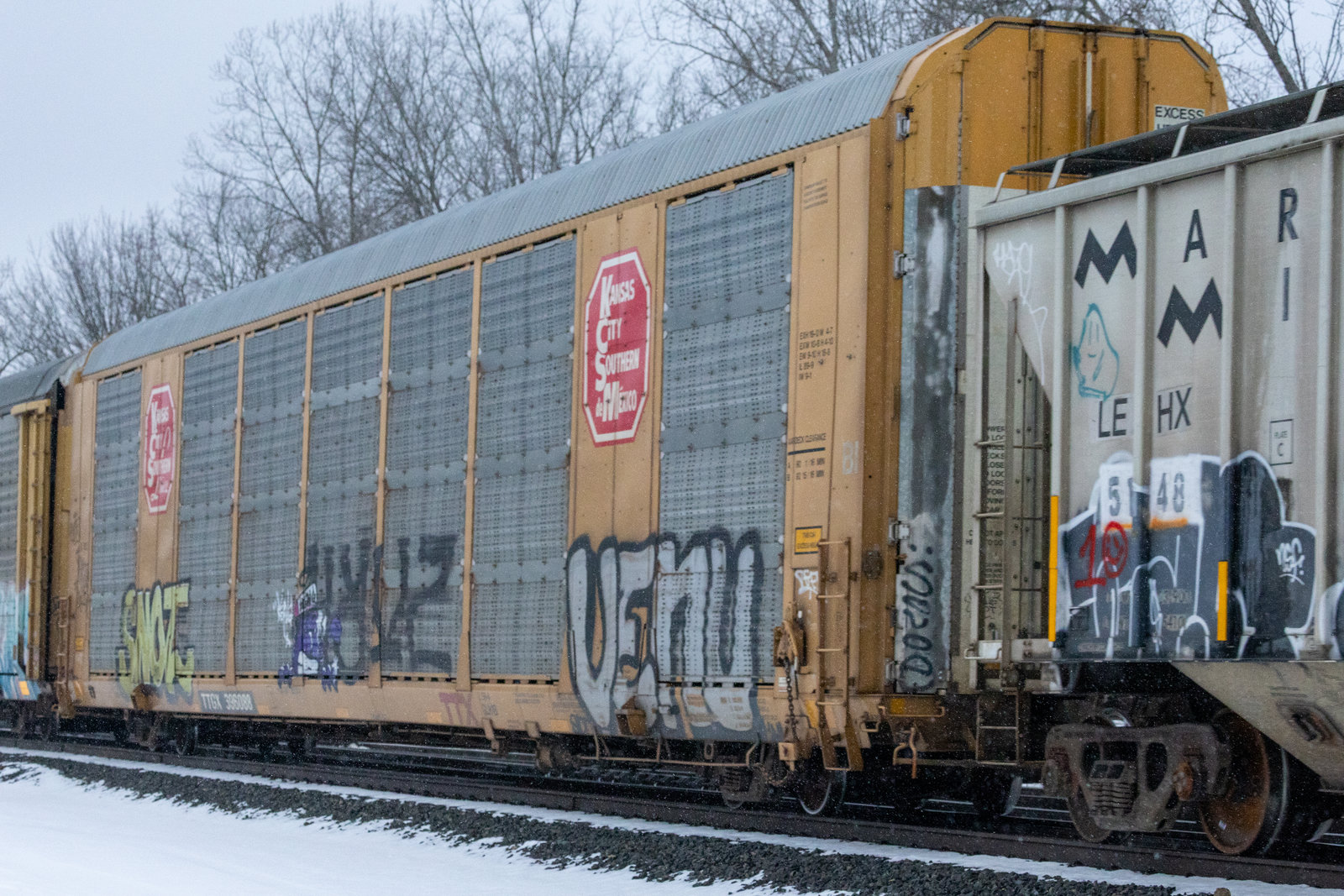 TTGX 396088