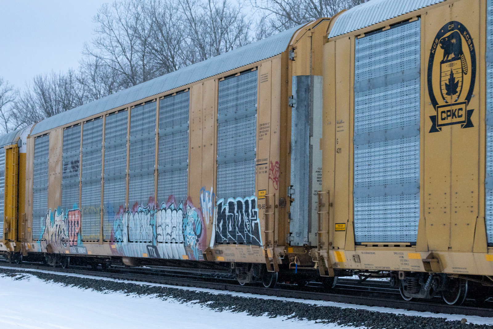 TTGX 698141