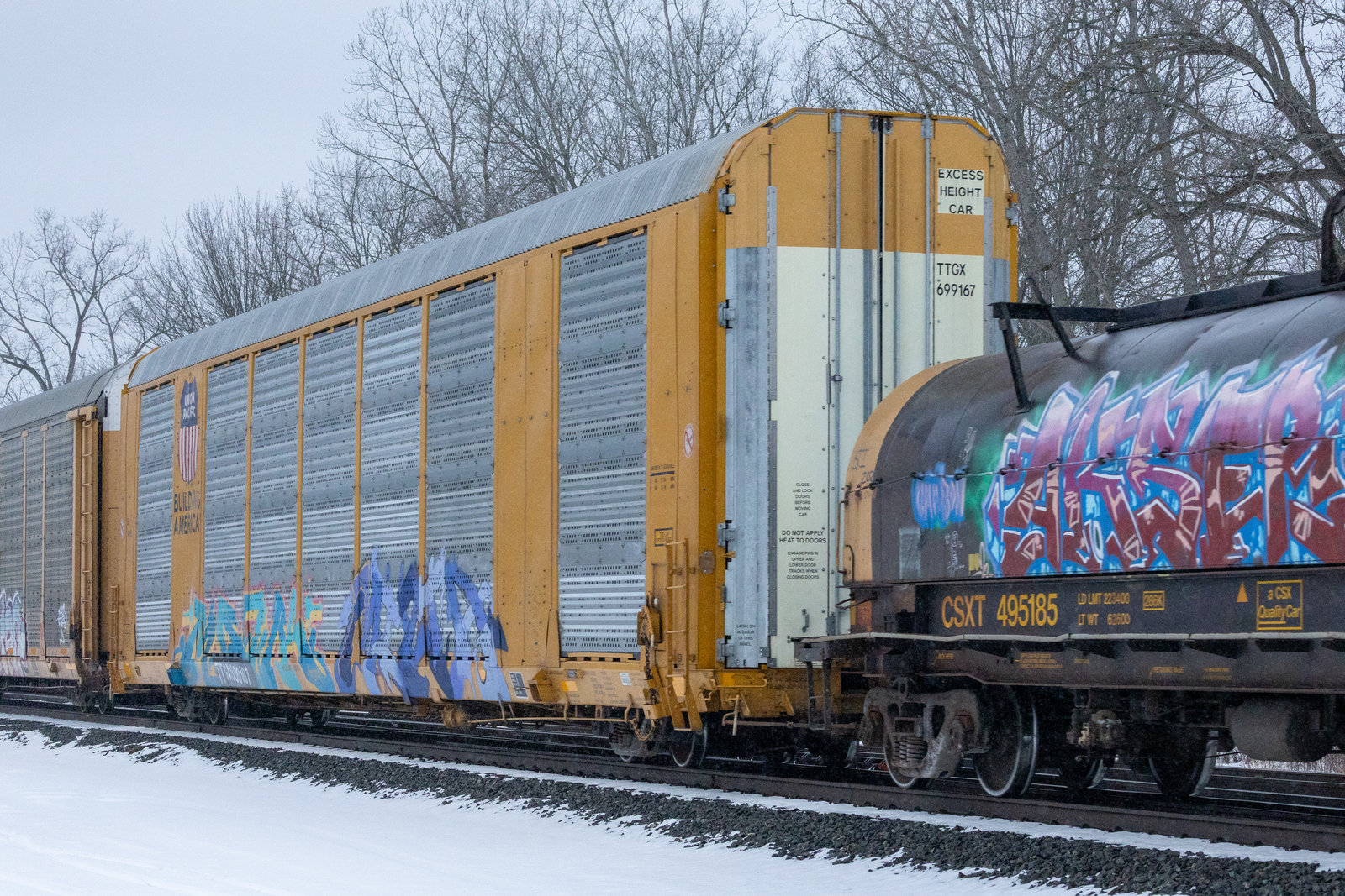 TTGX 699167