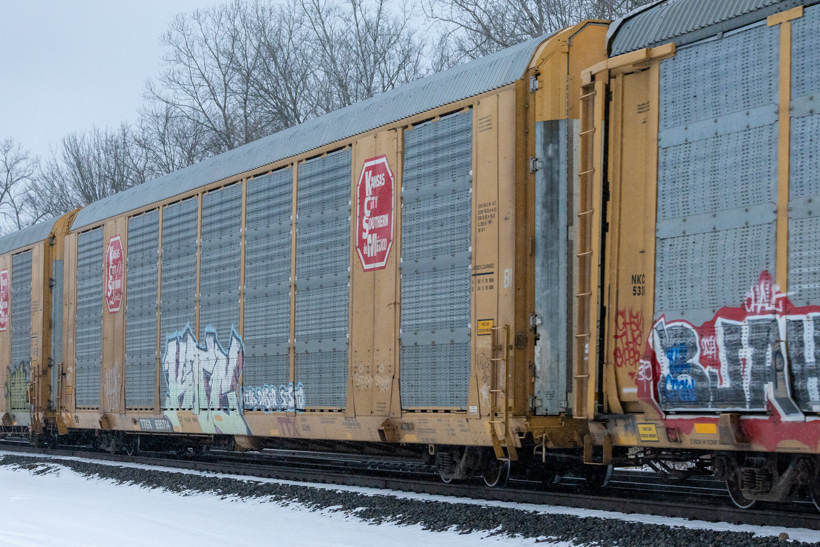 TTGX 695714