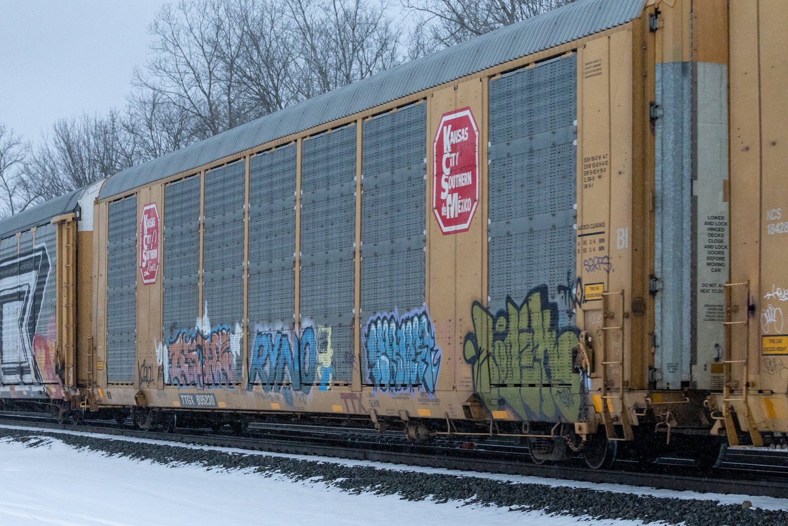 TTGX 695230