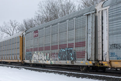 TTGX 705605