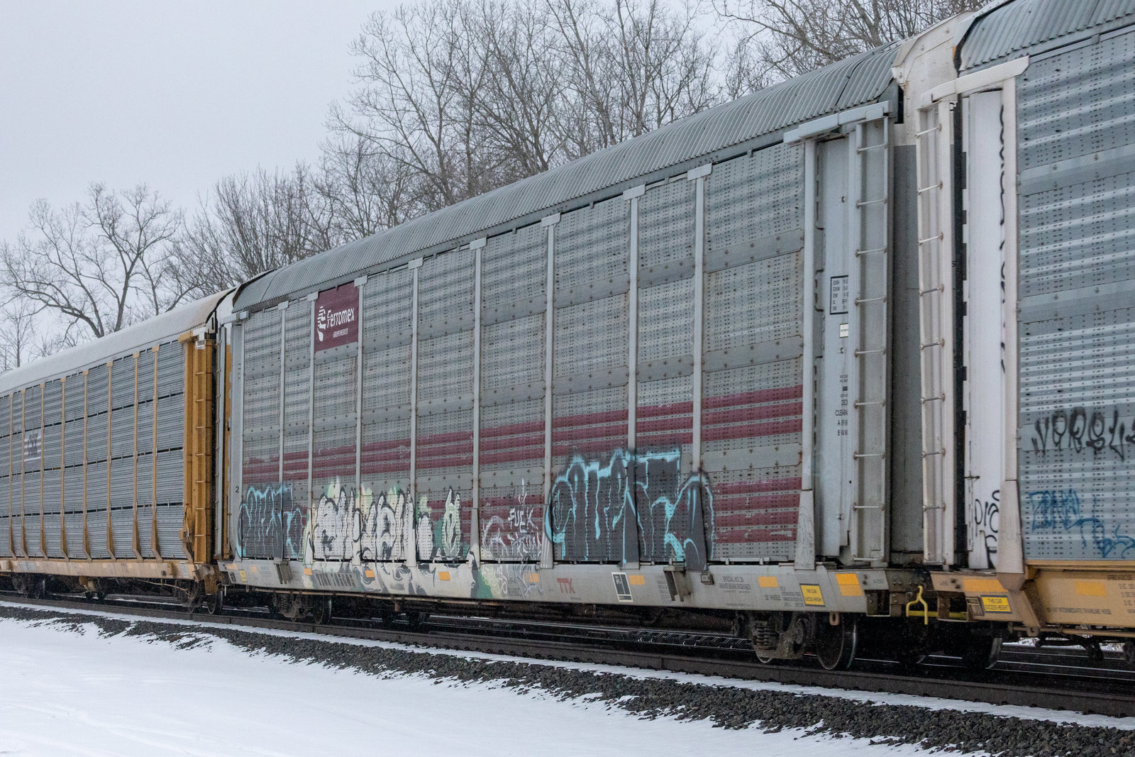 TTGX 705605
