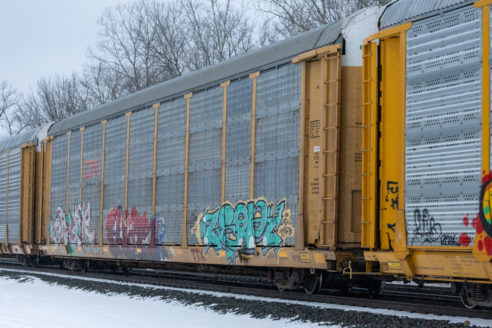 TTGX 702473