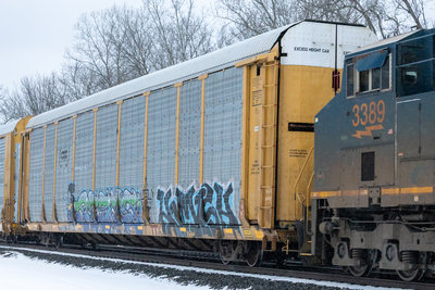 TTGX 253004