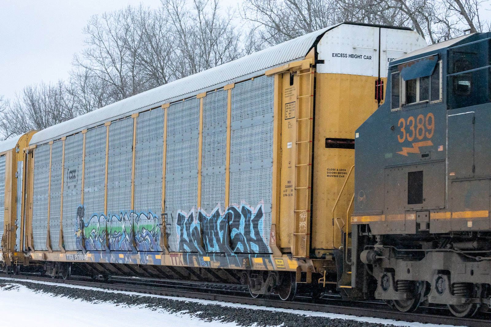 TTGX 253004