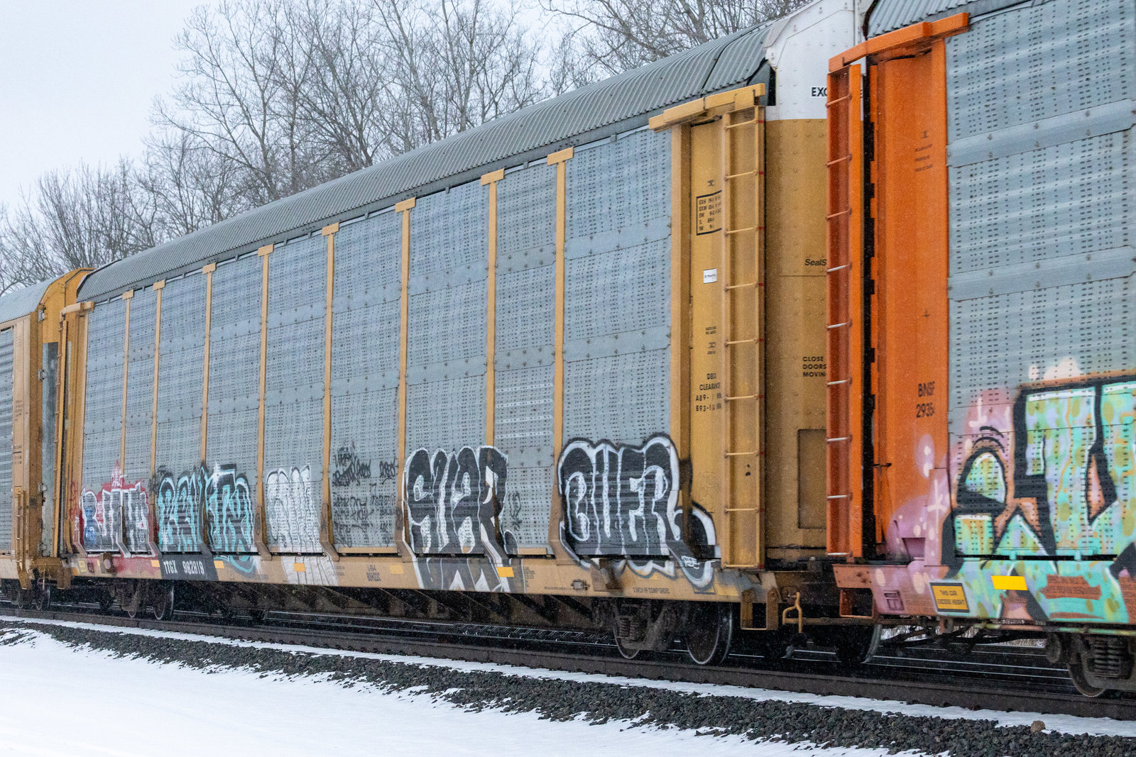 TTGX 982819