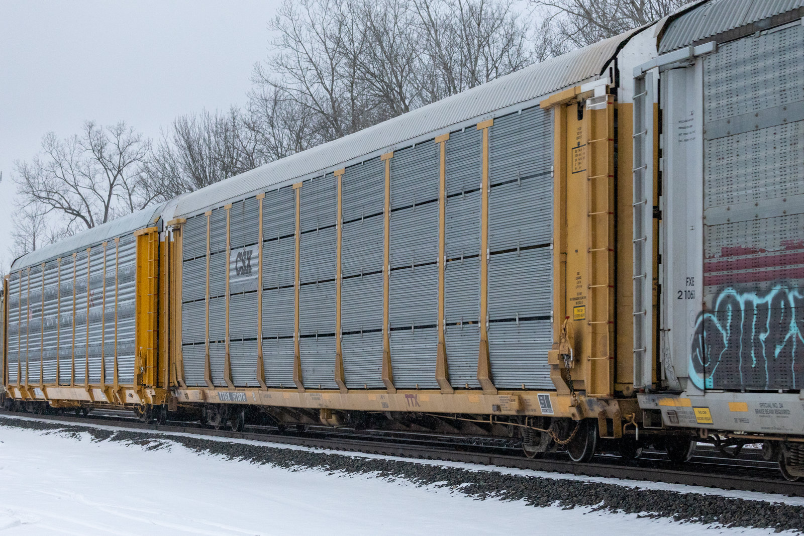 TTGX 971878