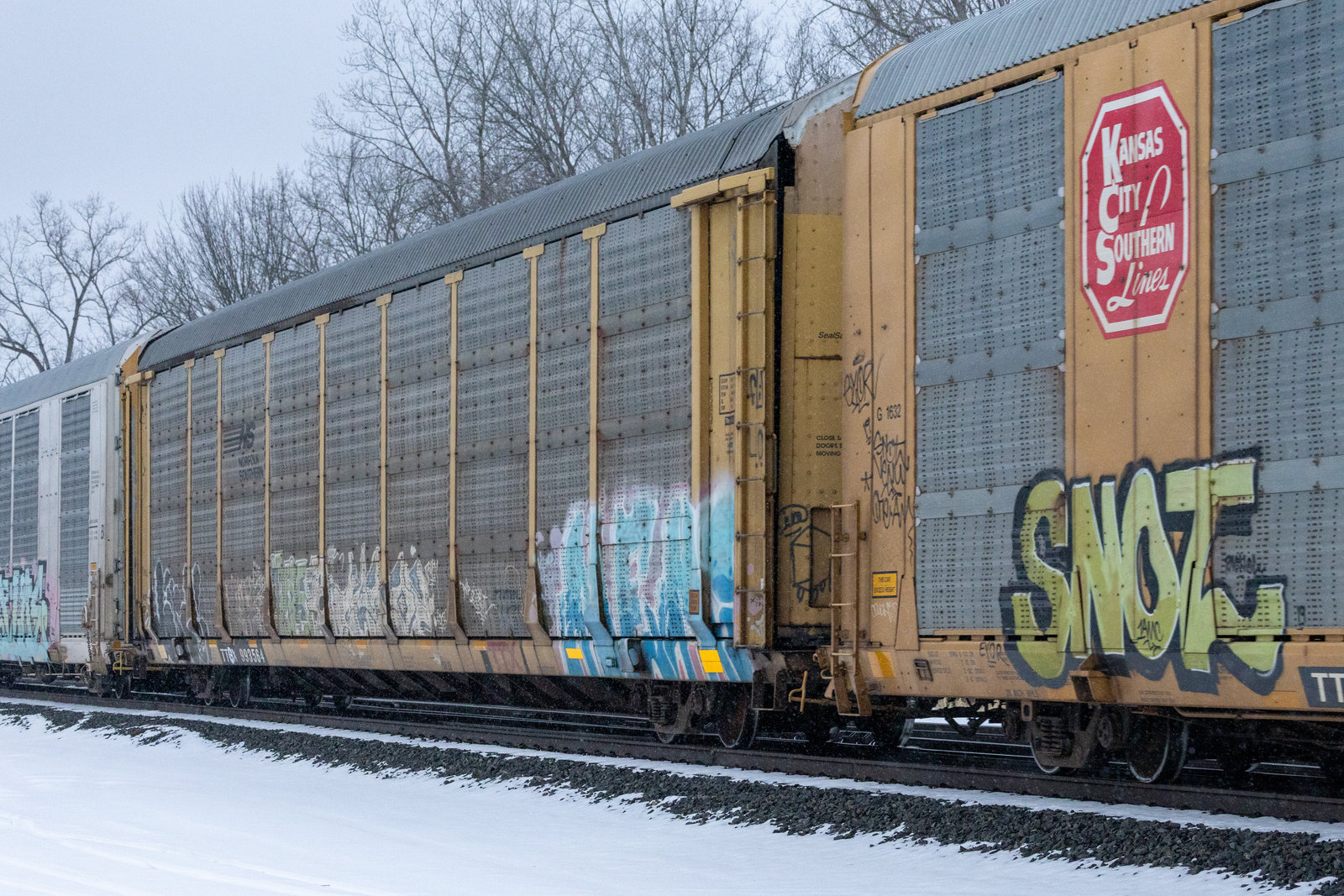 TTGX 993564