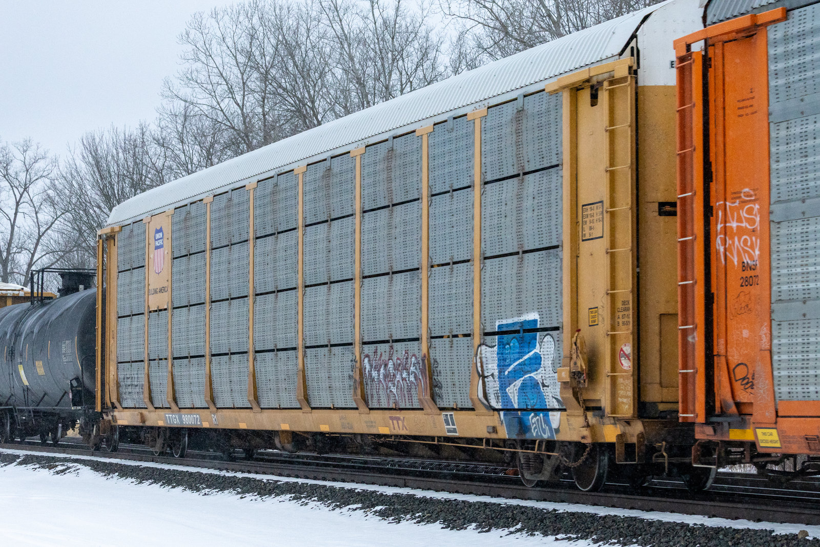 TTGX 980072