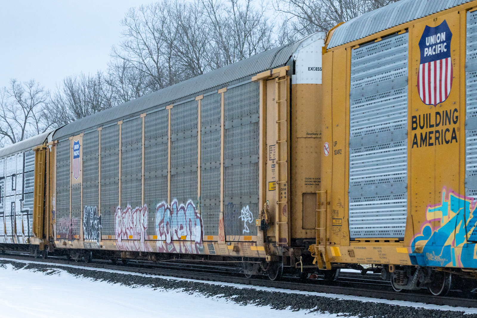 TTGX 995282