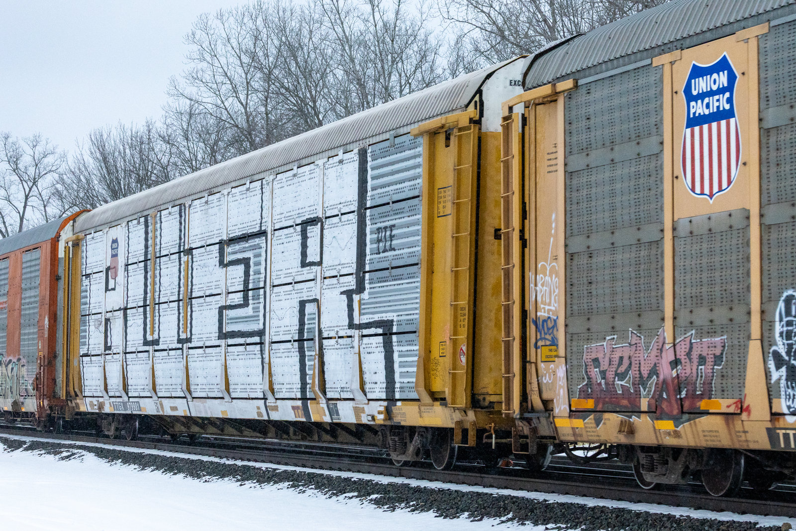 TTGX 979981