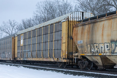 TTGX 255062