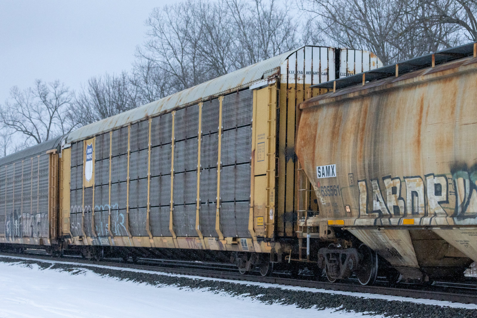 TTGX 255062