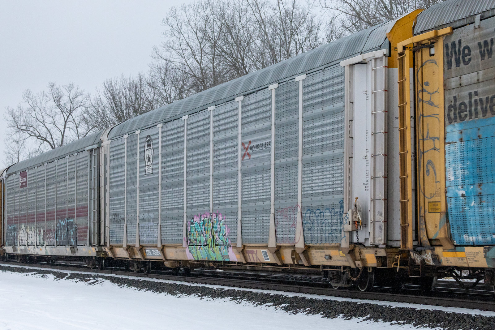 TTGX 709004