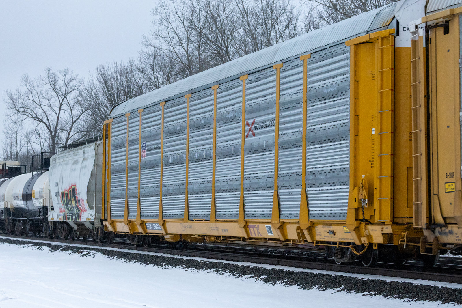 TTGX 835138