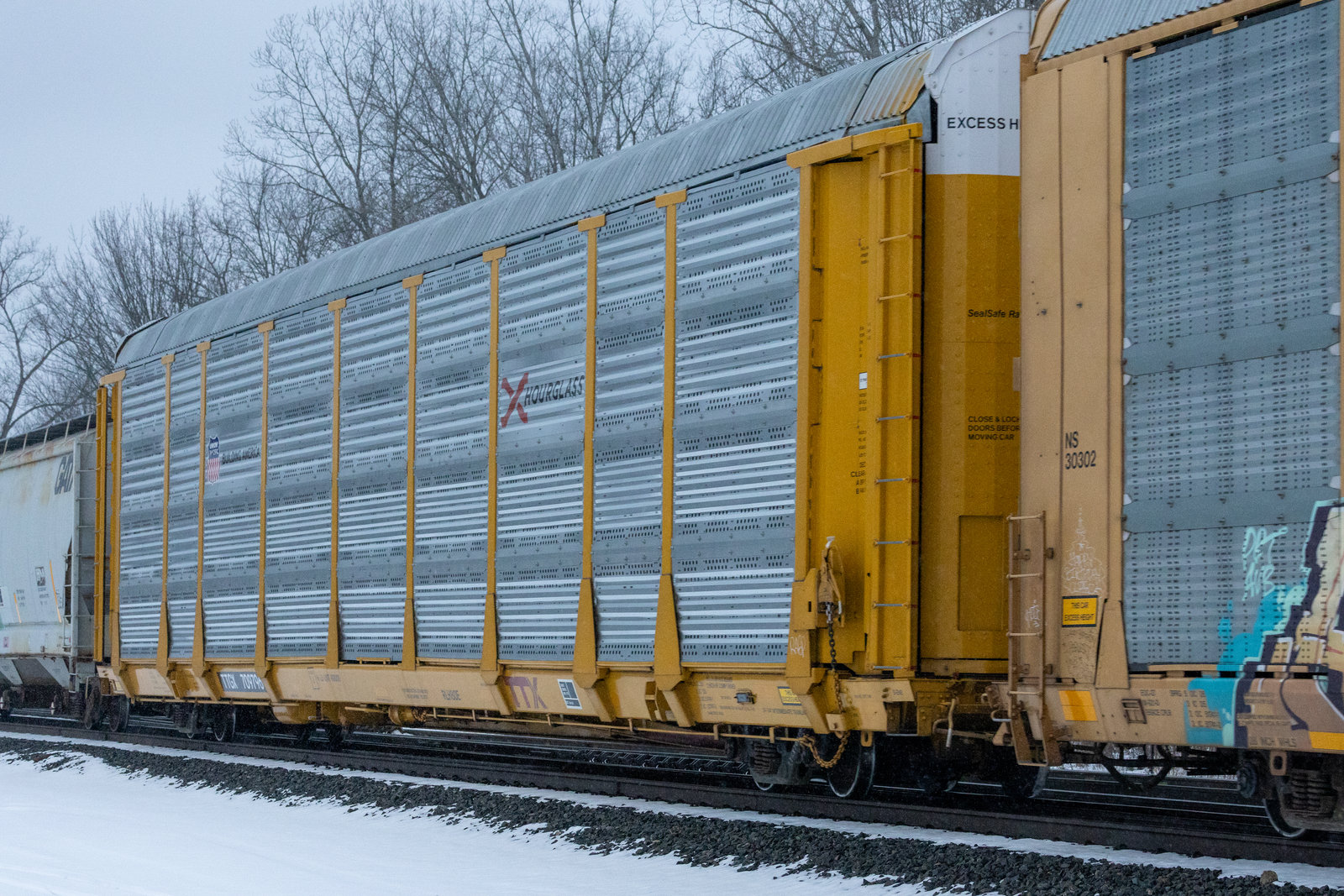 TTGX 709796