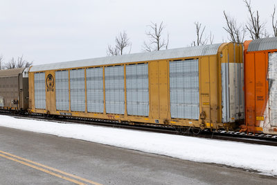 TTGX 822787