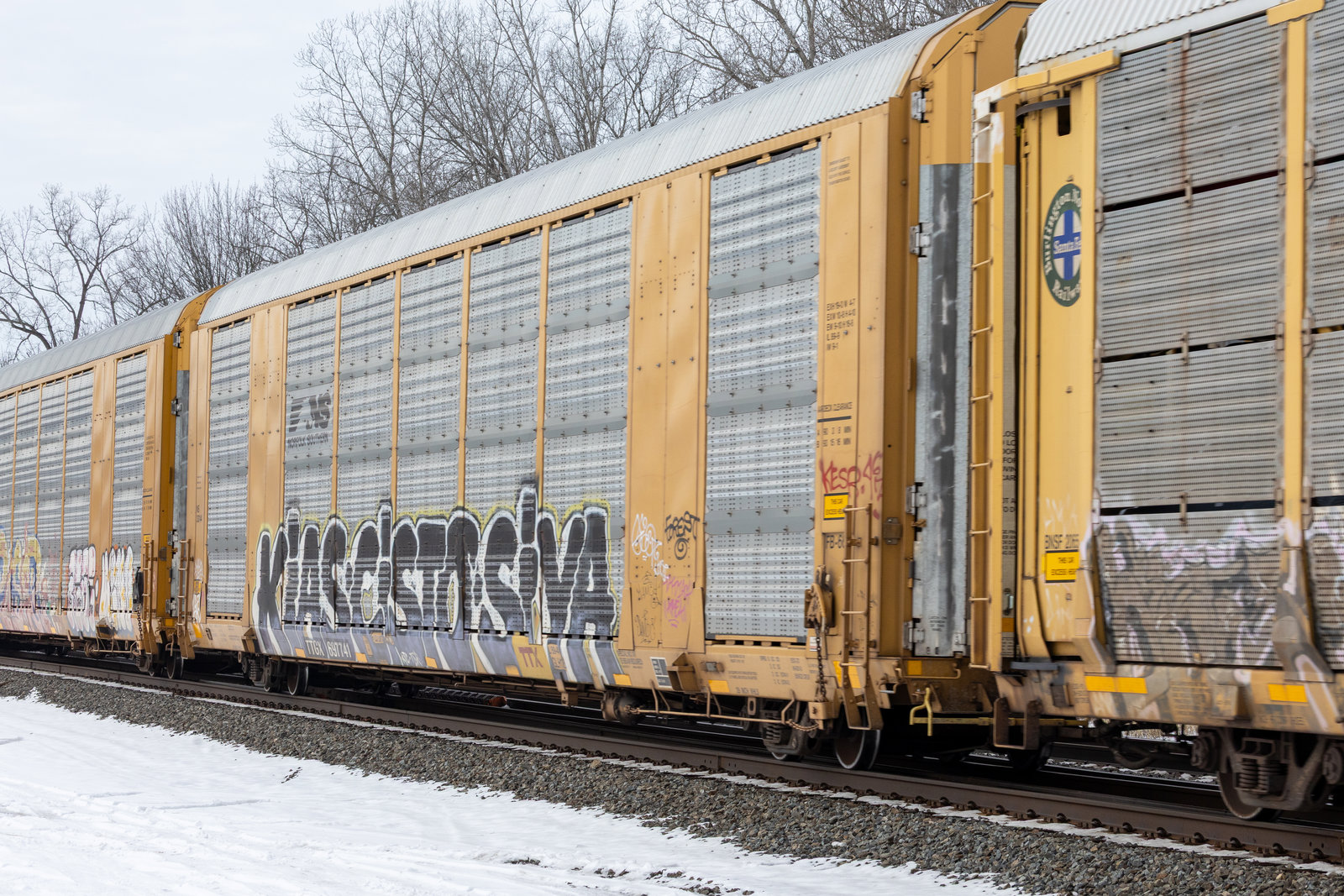 TTGX 697741