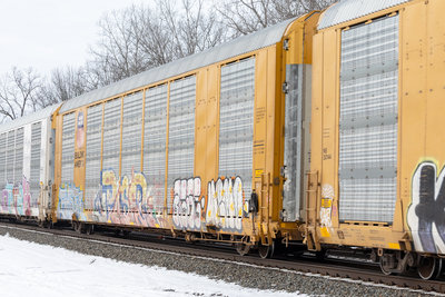 TTGX 697519