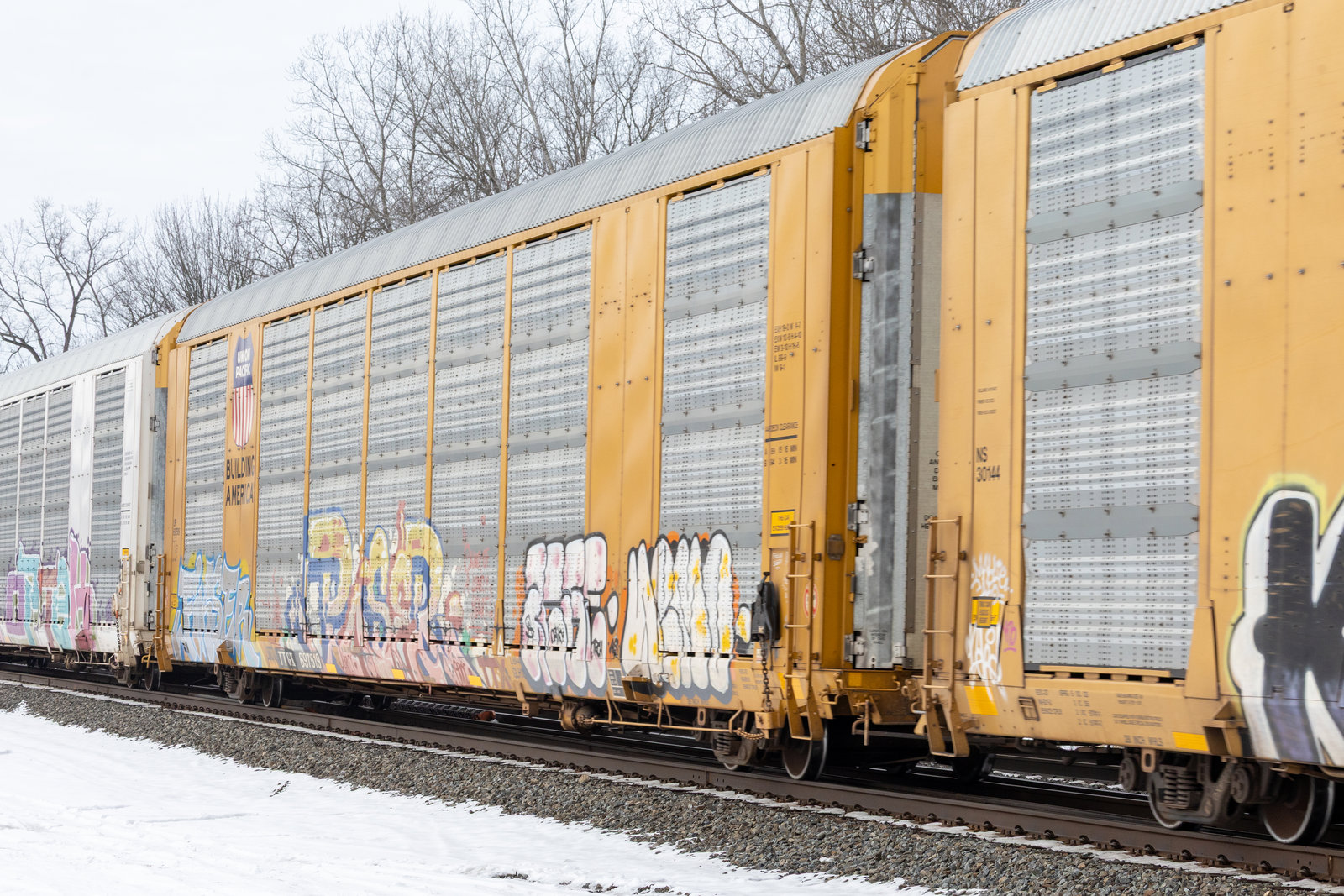 TTGX 697519