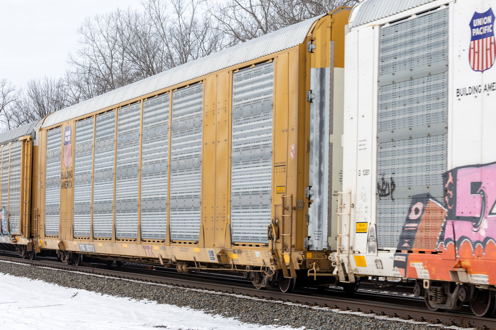 TTGX 822072
