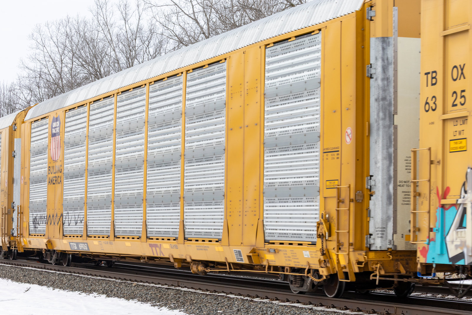 TTGX 699067