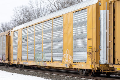 TTGX 823606
