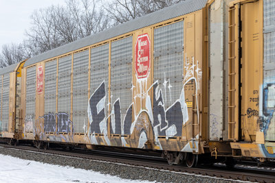 TTGX 691181