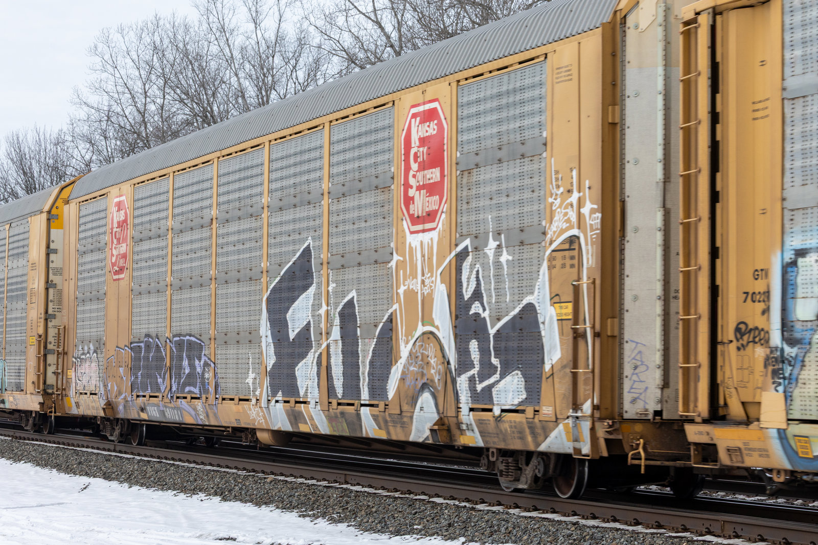 TTGX 691181